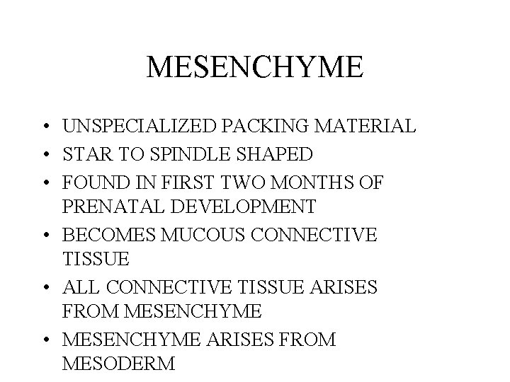 MESENCHYME • UNSPECIALIZED PACKING MATERIAL • STAR TO SPINDLE SHAPED • FOUND IN FIRST