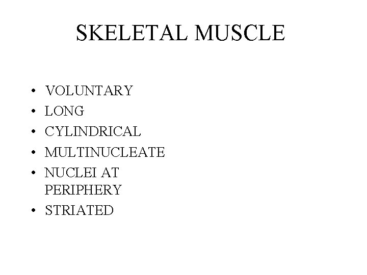 SKELETAL MUSCLE • • • VOLUNTARY LONG CYLINDRICAL MULTINUCLEATE NUCLEI AT PERIPHERY • STRIATED