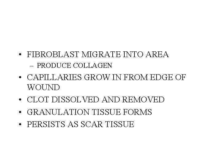  • FIBROBLAST MIGRATE INTO AREA – PRODUCE COLLAGEN • CAPILLARIES GROW IN FROM