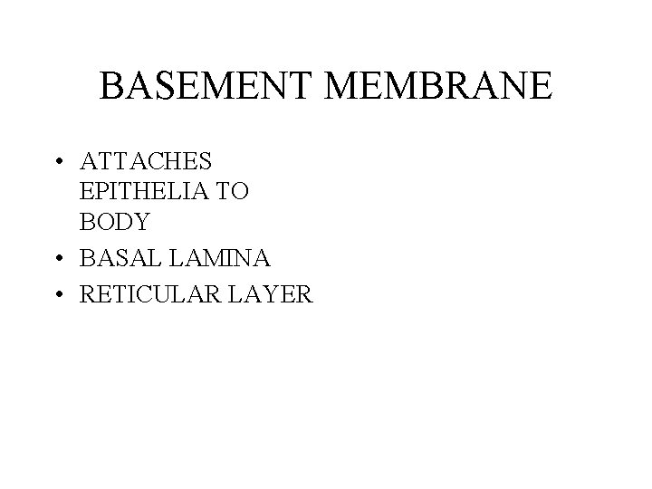 BASEMENT MEMBRANE • ATTACHES EPITHELIA TO BODY • BASAL LAMINA • RETICULAR LAYER 