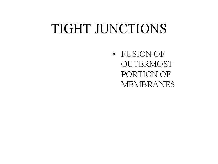 TIGHT JUNCTIONS • FUSION OF OUTERMOST PORTION OF MEMBRANES TIGHT JUNCTIONS • FUSION OF OUTERMOST PORTION OF MEMBRANES