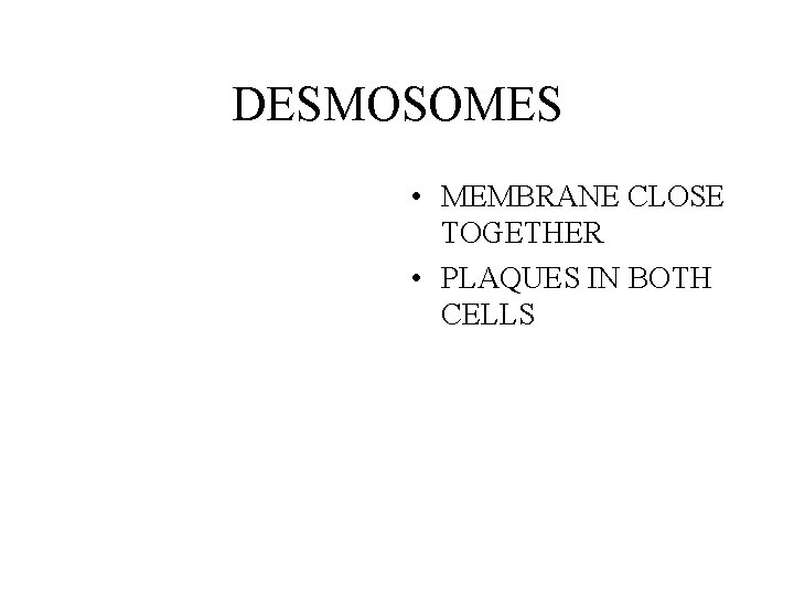 DESMOSOMES • MEMBRANE CLOSE TOGETHER • PLAQUES IN BOTH CELLS 