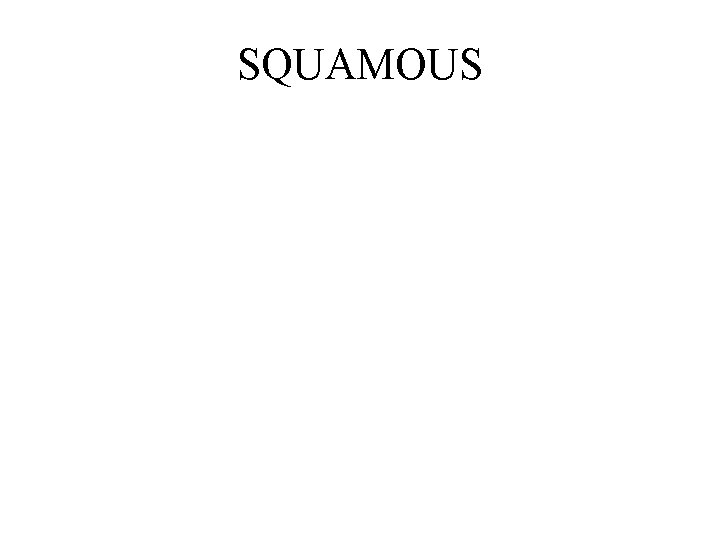 SQUAMOUS 