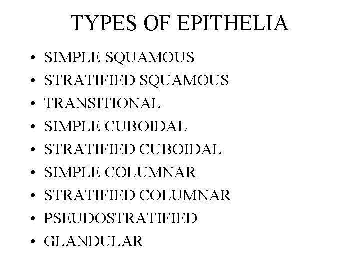 TYPES OF EPITHELIA • • • SIMPLE SQUAMOUS STRATIFIED SQUAMOUS TRANSITIONAL SIMPLE CUBOIDAL STRATIFIED TYPES OF EPITHELIA • • • SIMPLE SQUAMOUS STRATIFIED SQUAMOUS TRANSITIONAL SIMPLE CUBOIDAL STRATIFIED