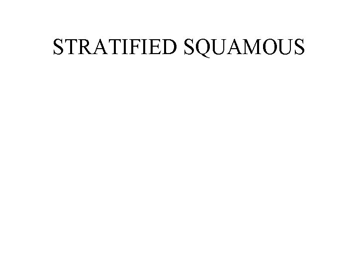 STRATIFIED SQUAMOUS 
