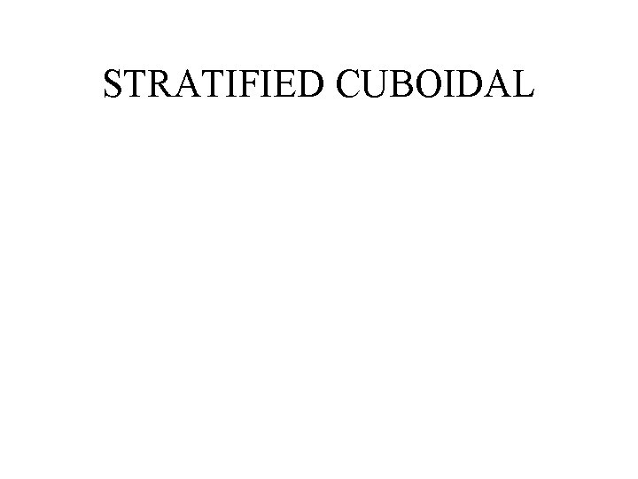 STRATIFIED CUBOIDAL 