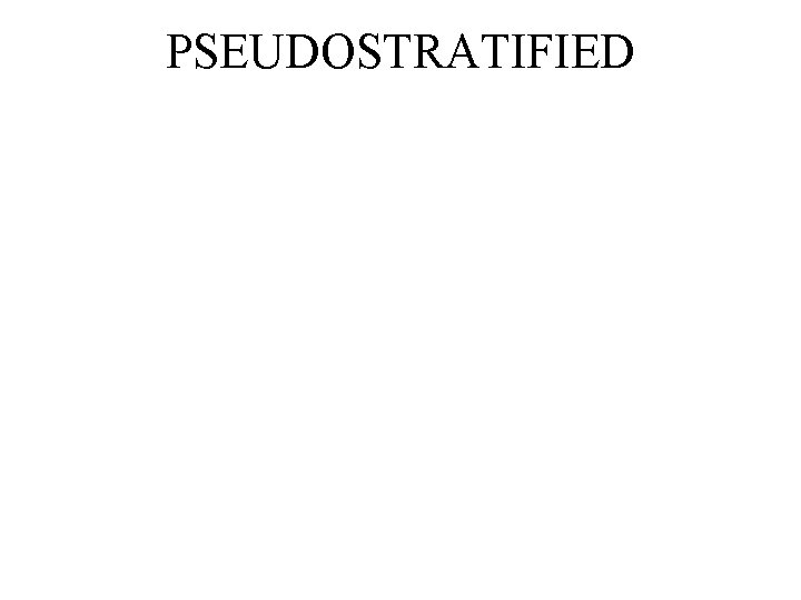 PSEUDOSTRATIFIED 