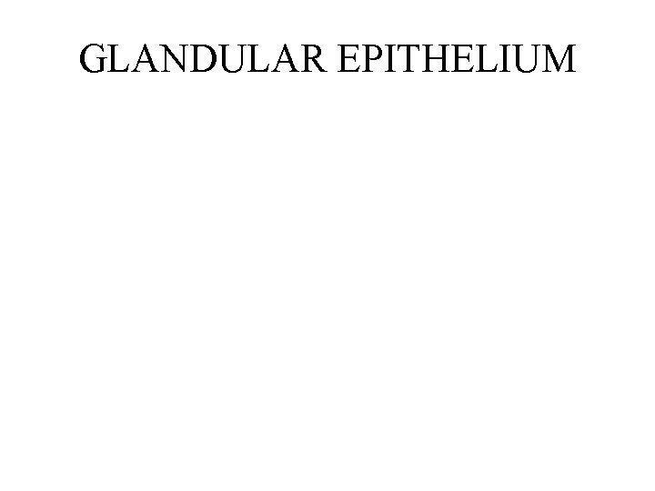 GLANDULAR EPITHELIUM 