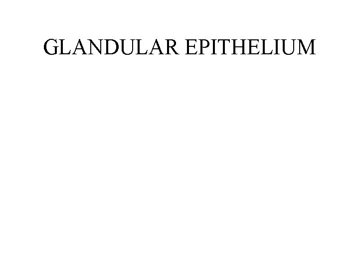 GLANDULAR EPITHELIUM 