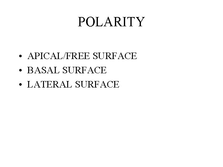 POLARITY • APICAL/FREE SURFACE • BASAL SURFACE • LATERAL SURFACE POLARITY • APICAL/FREE SURFACE • BASAL SURFACE • LATERAL SURFACE