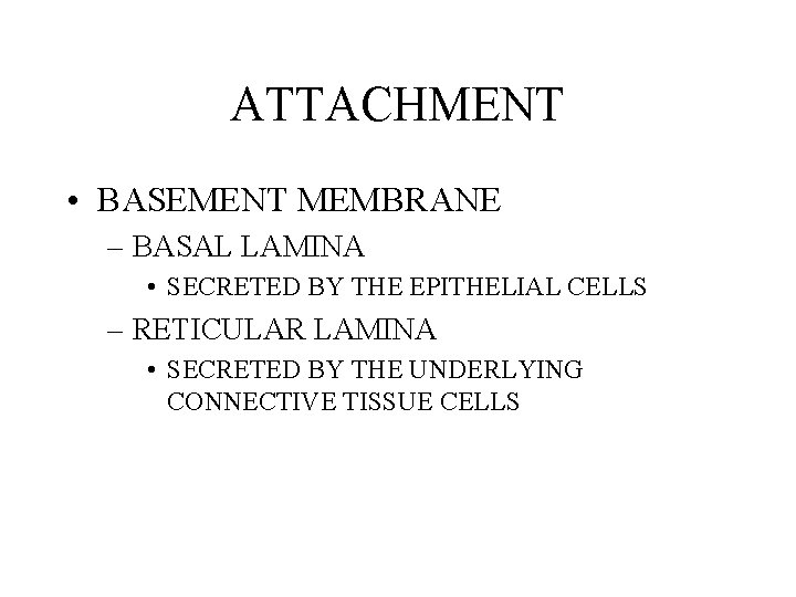 ATTACHMENT • BASEMENT MEMBRANE – BASAL LAMINA • SECRETED BY THE EPITHELIAL CELLS –