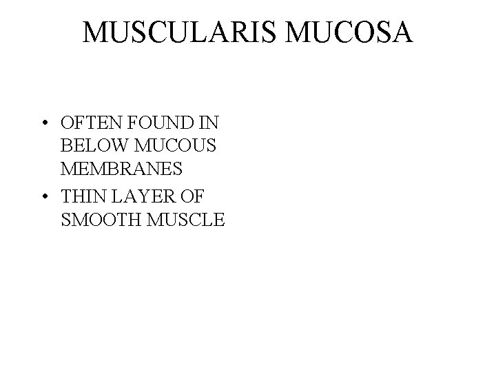 MUSCULARIS MUCOSA • OFTEN FOUND IN BELOW MUCOUS MEMBRANES • THIN LAYER OF SMOOTH