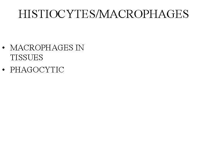 HISTIOCYTES/MACROPHAGES • MACROPHAGES IN TISSUES • PHAGOCYTIC 