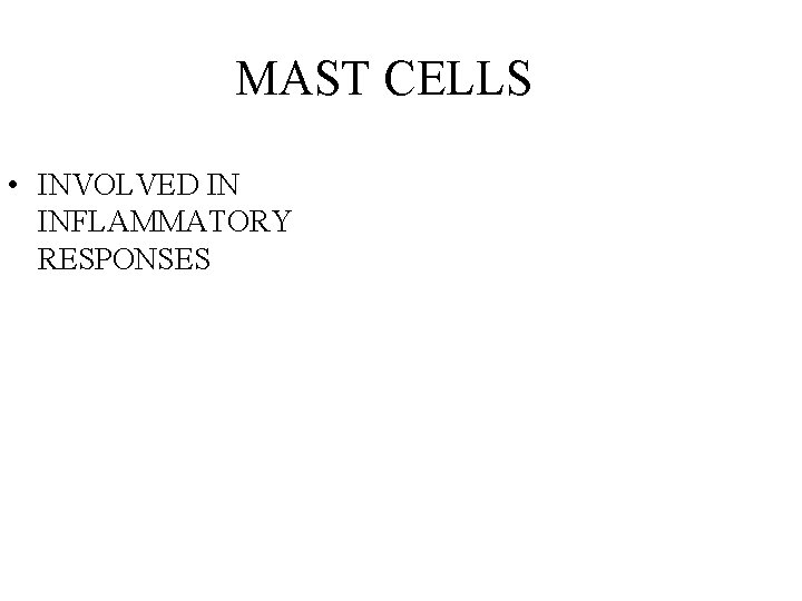 MAST CELLS • INVOLVED IN INFLAMMATORY RESPONSES 