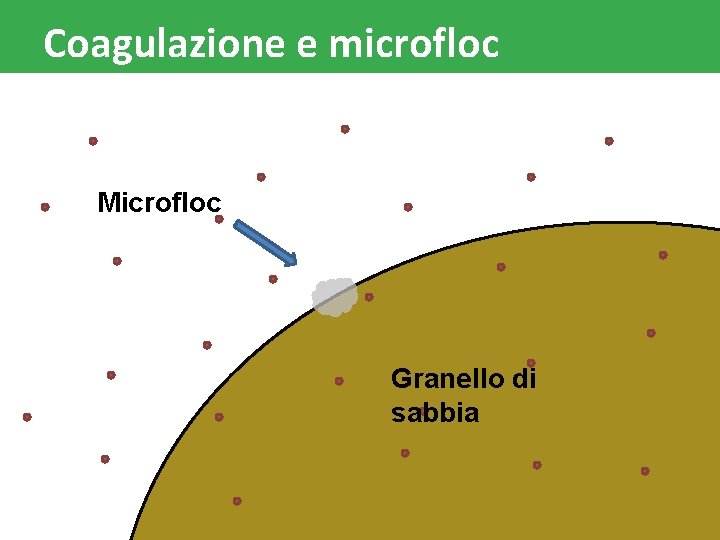 Coagulazione e microfloc Microfloc Granello di sabbia www. leafytechnologies. it 