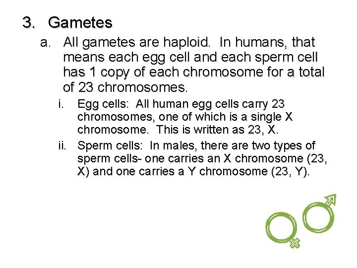 3. Gametes a. All gametes are haploid. In humans, that means each egg cell