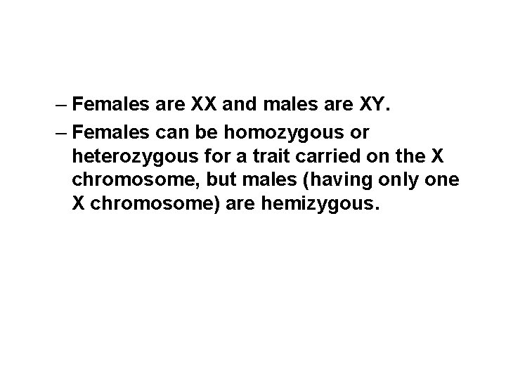 – Females are XX and males are XY. – Females can be homozygous or