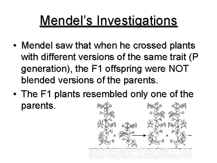 Mendel’s Investigations • Mendel saw that when he crossed plants with different versions of