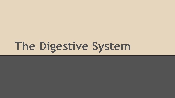 The Digestive System 