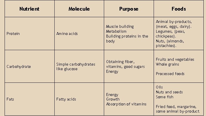 Nutrient Protein Carbohydrate Fats Molecule Purpose Amino acids Muscle building Metabolism Building proteins in