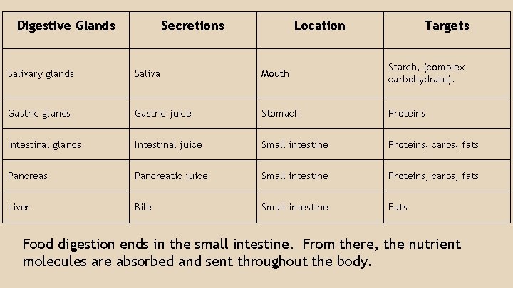 Digestive Glands Secretions Location Targets Salivary glands Saliva Mouth Starch, (complex carbohydrate). Gastric glands