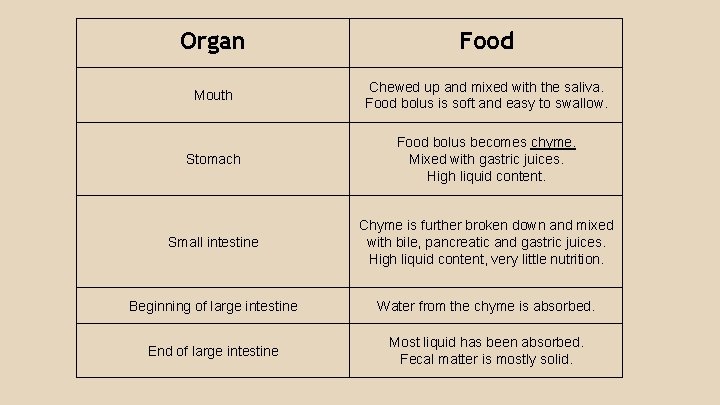 Organ Food Mouth Chewed up and mixed with the saliva. Food bolus is soft