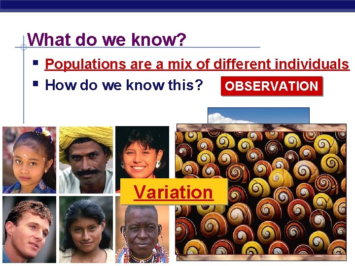 What do we know? § Populations are a mix of different individuals § How