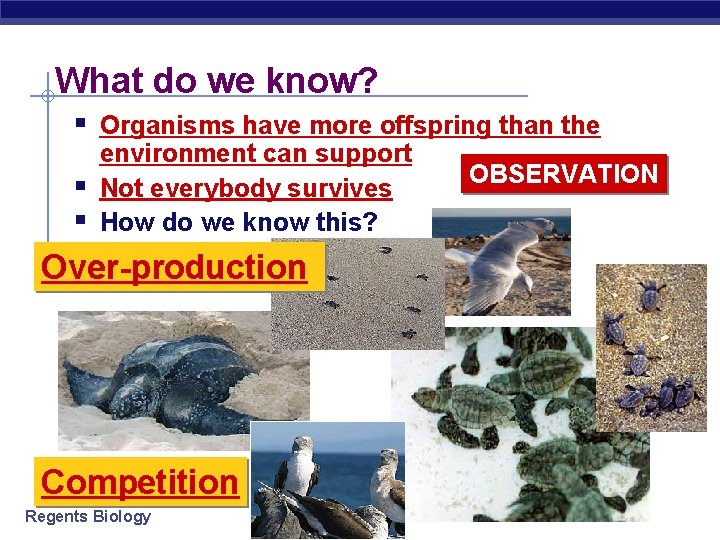 What do we know? § Organisms have more offspring than the § § environment