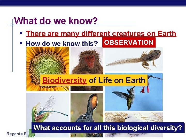 What do we know? § There are many different creatures on Earth § How