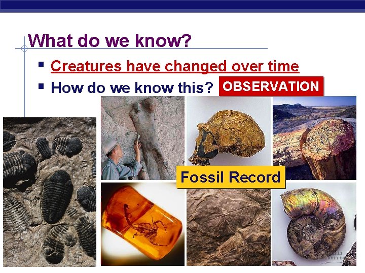 What do we know? § Creatures have changed over time § How do we