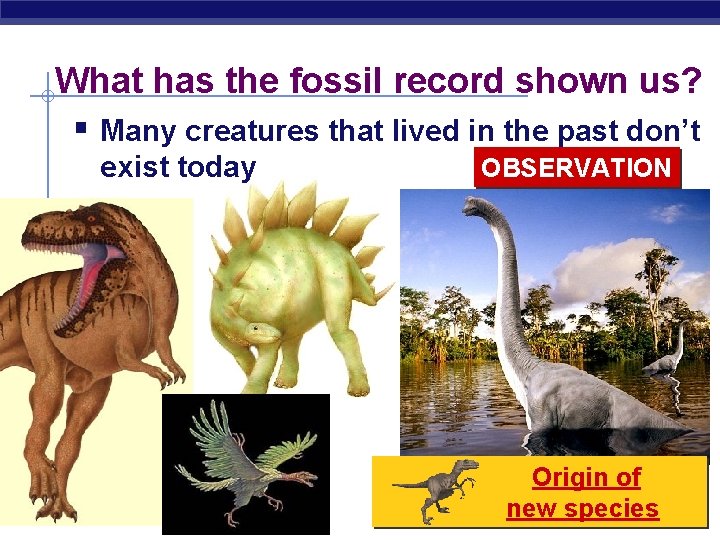 What has the fossil record shown us? § Many creatures that lived in the