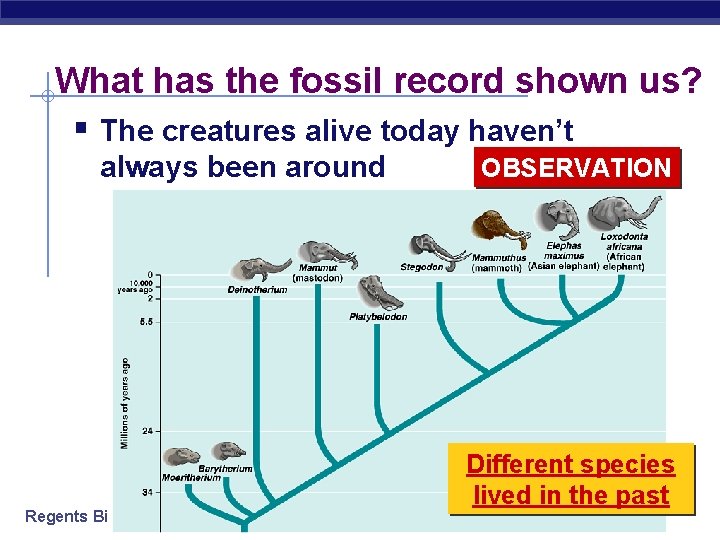 What has the fossil record shown us? § The creatures alive today haven’t always