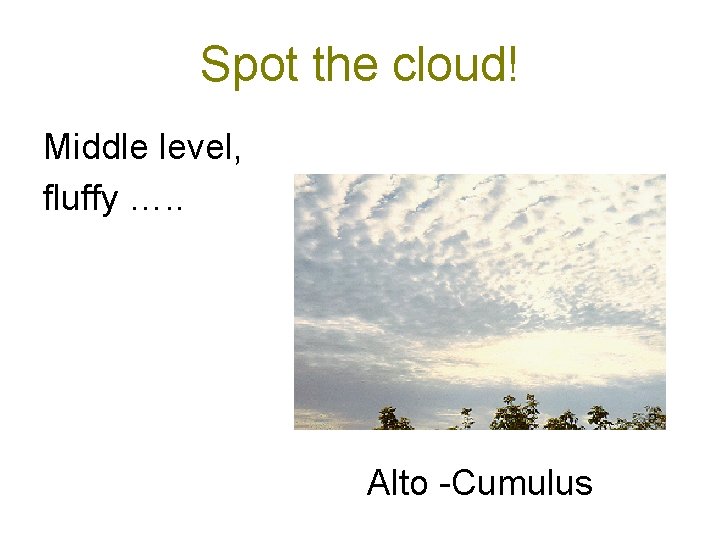Spot the cloud! Middle level, fluffy …. . Alto -Cumulus 