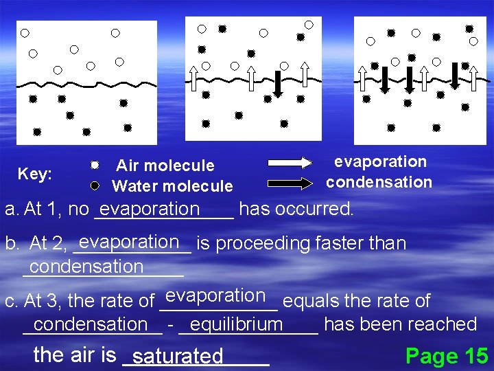 Key: Air molecule Water molecule evaporation condensation a. At 1, no _______ evaporation has