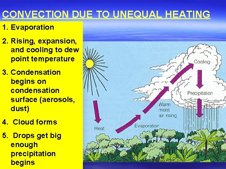 CONVECTION DUE TO UNEQUAL HEATING 1. Evaporation 2. Rising, expansion, and cooling to dew