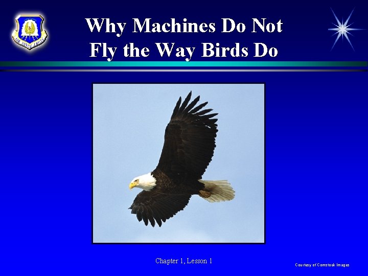 Why Machines Do Not Fly the Way Birds Do Chapter 1, Lesson 1 Courtesy