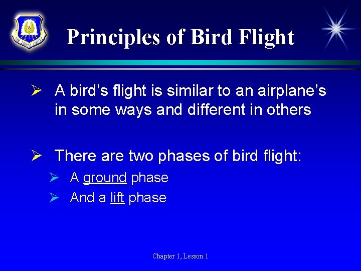 Principles of Bird Flight Ø A bird’s flight is similar to an airplane’s in
