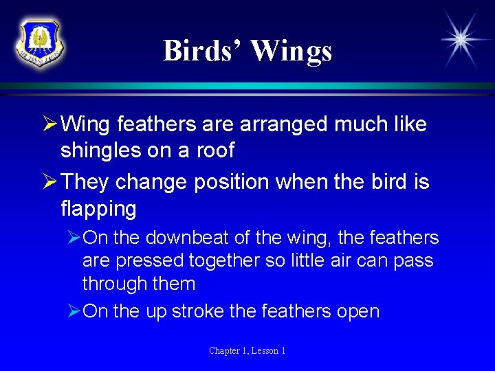 Birds’ Wings Ø Wing feathers are arranged much like shingles on a roof Ø