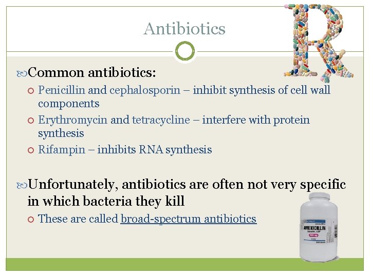 Antibiotics Common antibiotics: Penicillin and cephalosporin – inhibit synthesis of cell wall components Erythromycin