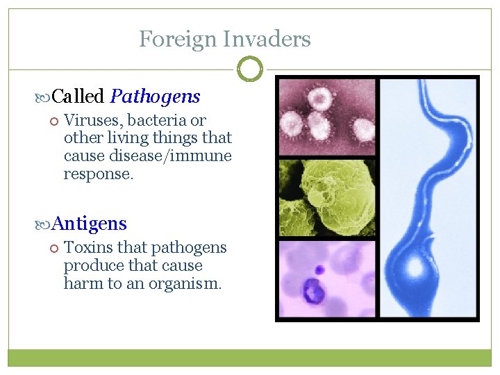 Foreign Invaders Called Pathogens Viruses, bacteria or other living things that cause disease/immune response.