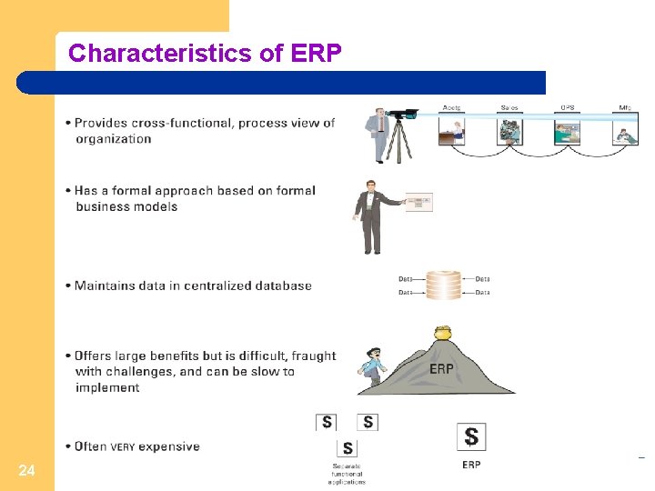 Characteristics of ERP 24 