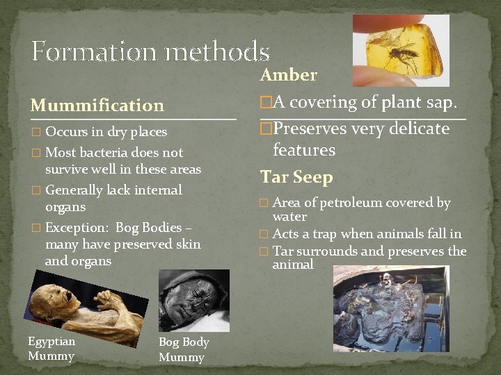 Formation methods Amber Mummification �A covering of plant sap. � Occurs in dry places
