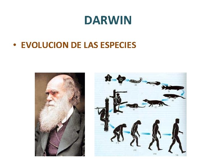 DARWIN • EVOLUCION DE LAS ESPECIES 