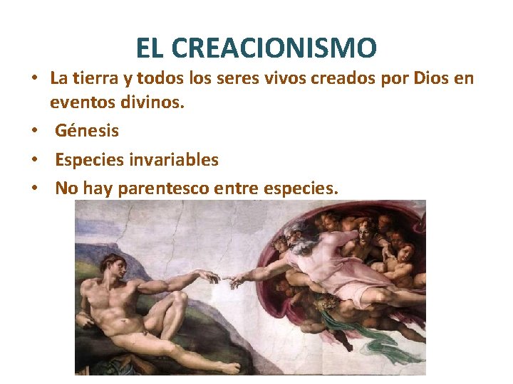 EL CREACIONISMO • La tierra y todos los seres vivos creados por Dios en