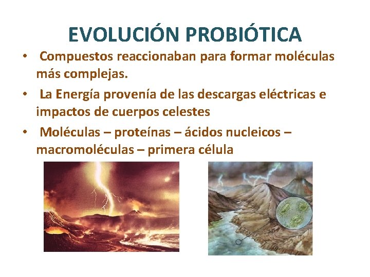 EVOLUCIÓN PROBIÓTICA • Compuestos reaccionaban para formar moléculas más complejas. • La Energía provenía