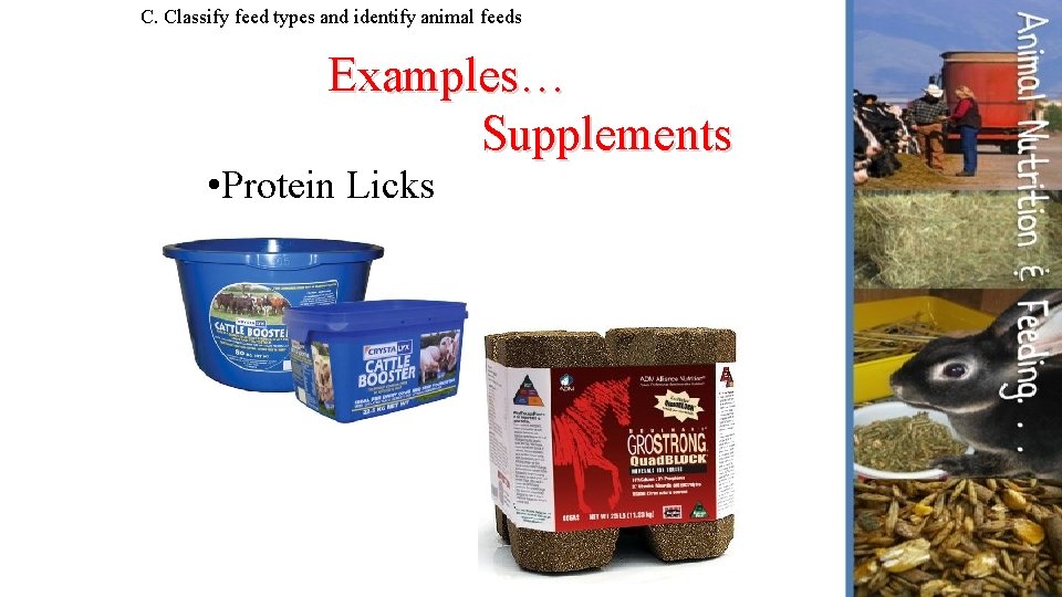 C. Classify feed types and identify animal feeds Examples… Supplements • Protein Licks 