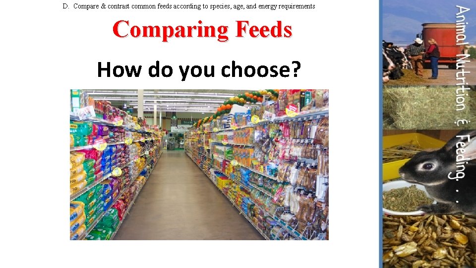 D. Compare & contrast common feeds according to species, age, and energy requirements Comparing