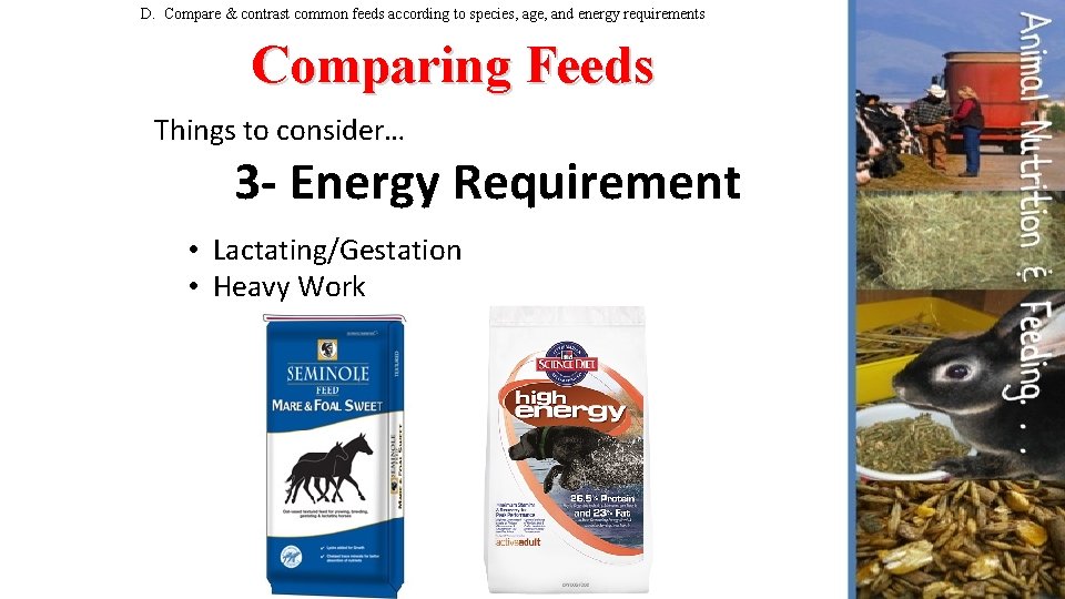 D. Compare & contrast common feeds according to species, age, and energy requirements Comparing