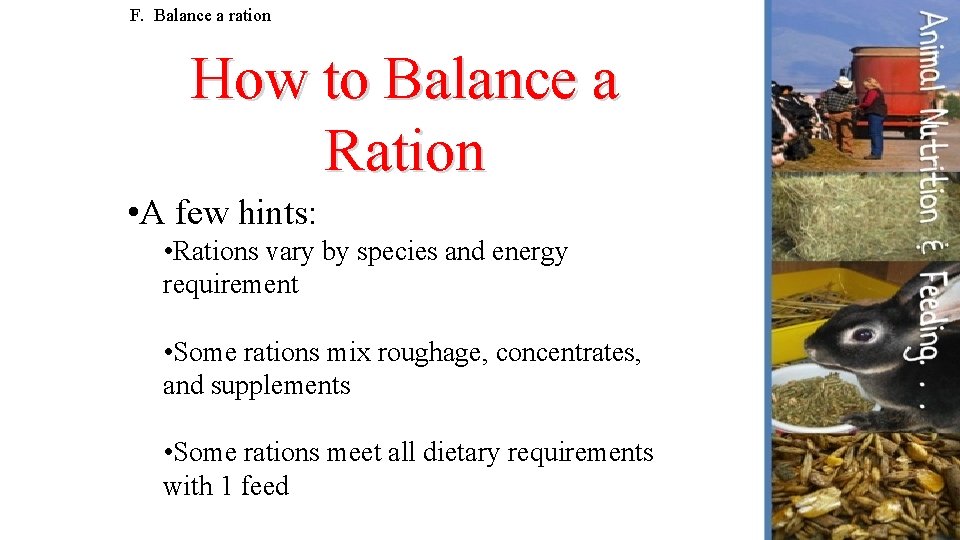 F. Balance a ration How to Balance a Ration • A few hints: •