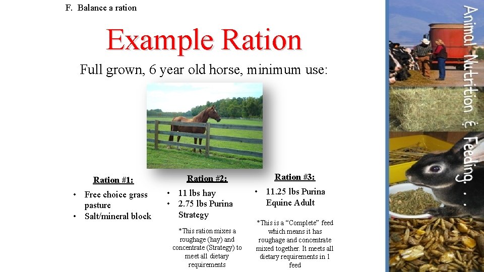 F. Balance a ration Example Ration Full grown, 6 year old horse, minimum use: